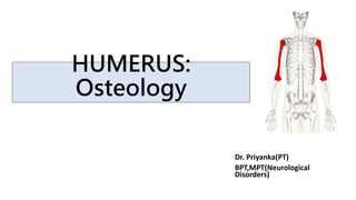 HUMERUS:
Osteology
Dr. Priyanka(PT)
BPT,MPT(Neurological
Disorders)
 