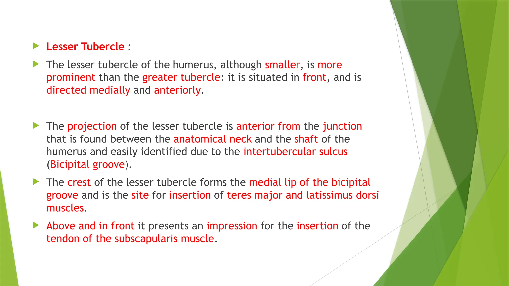  Lesser Tubercle :
 The lesser tubercle of the humerus, although smaller, is more
prominent than the greater tubercle: it is situated in front, and is
directed medially and anteriorly.
 The projection of the lesser tubercle is anterior from the junction
that is found between the anatomical neck and the shaft of the
humerus and easily identified due to the intertubercular sulcus
(Bicipital groove).
 The crest of the lesser tubercle forms the medial lip of the bicipital
groove and is the site for insertion of teres major and latissimus dorsi
muscles.
 Above and in front it presents an impression for the insertion of the
tendon of the subscapularis muscle.
 