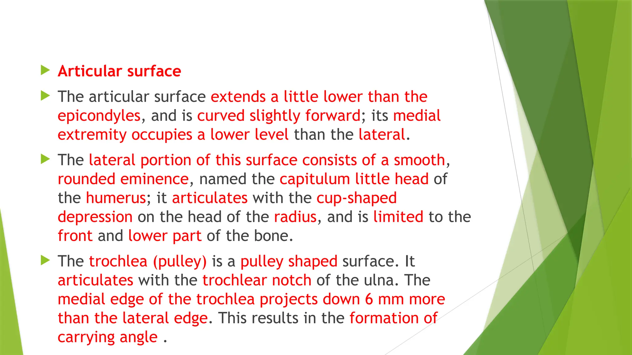  Articular surface
 The articular surface extends a little lower than the
epicondyles, and is curved slightly forward; its medial
extremity occupies a lower level than the lateral.
 The lateral portion of this surface consists of a smooth,
rounded eminence, named the capitulum little head of
the humerus; it articulates with the cup-shaped
depression on the head of the radius, and is limited to the
front and lower part of the bone.
 The trochlea (pulley) is a pulley shaped surface. It
articulates with the trochlear notch of the ulna. The
medial edge of the trochlea projects down 6 mm more
than the lateral edge. This results in the formation of
carrying angle .
 