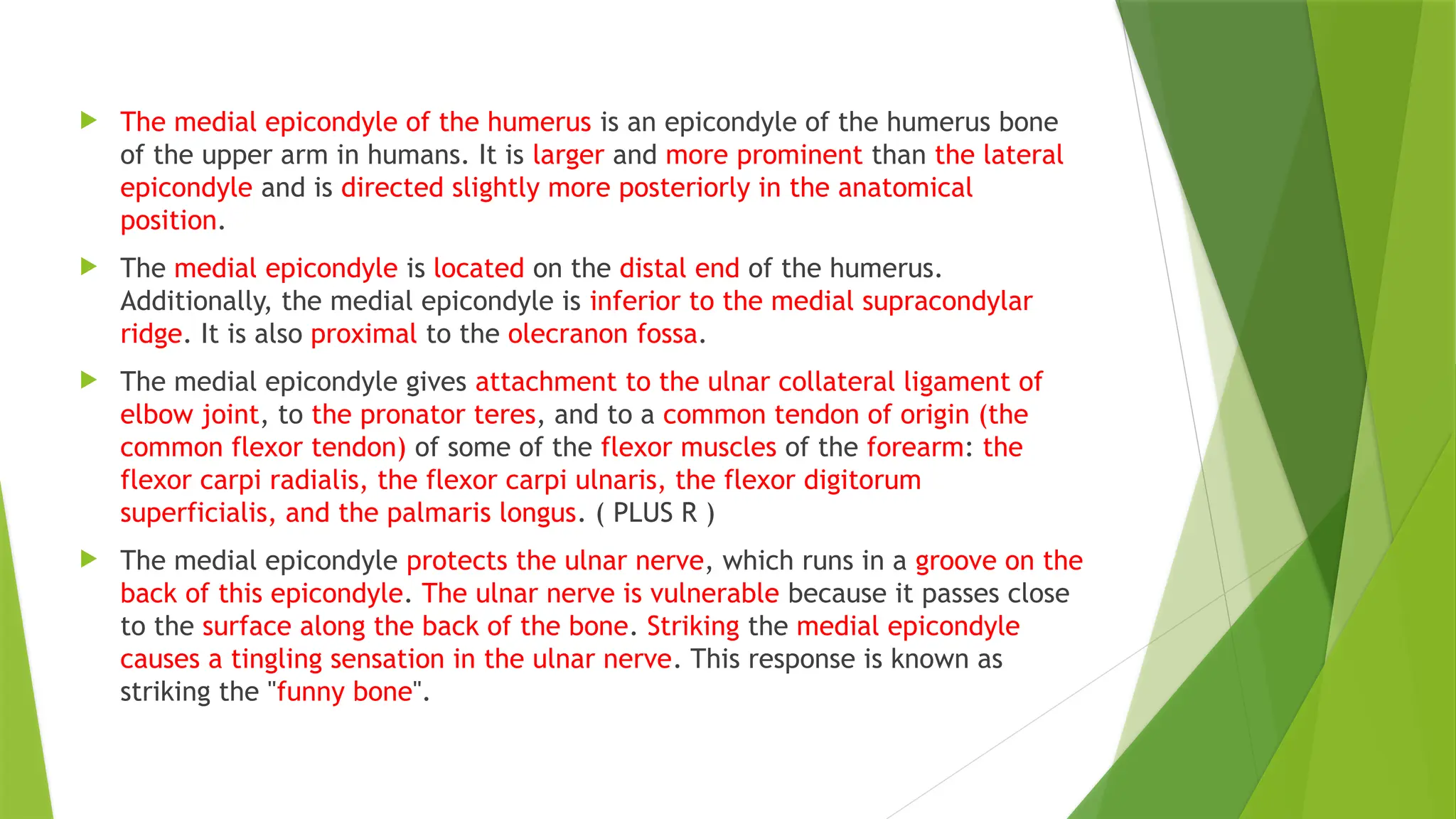  The medial epicondyle of the humerus is an epicondyle of the humerus bone
of the upper arm in humans. It is larger and more prominent than the lateral
epicondyle and is directed slightly more posteriorly in the anatomical
position.
 The medial epicondyle is located on the distal end of the humerus.
Additionally, the medial epicondyle is inferior to the medial supracondylar
ridge. It is also proximal to the olecranon fossa.
 The medial epicondyle gives attachment to the ulnar collateral ligament of
elbow joint, to the pronator teres, and to a common tendon of origin (the
common flexor tendon) of some of the flexor muscles of the forearm: the
flexor carpi radialis, the flexor carpi ulnaris, the flexor digitorum
superficialis, and the palmaris longus. ( PLUS R )
 The medial epicondyle protects the ulnar nerve, which runs in a groove on the
back of this epicondyle. The ulnar nerve is vulnerable because it passes close
to the surface along the back of the bone. Striking the medial epicondyle
causes a tingling sensation in the ulnar nerve. This response is known as
striking the "funny bone".
 