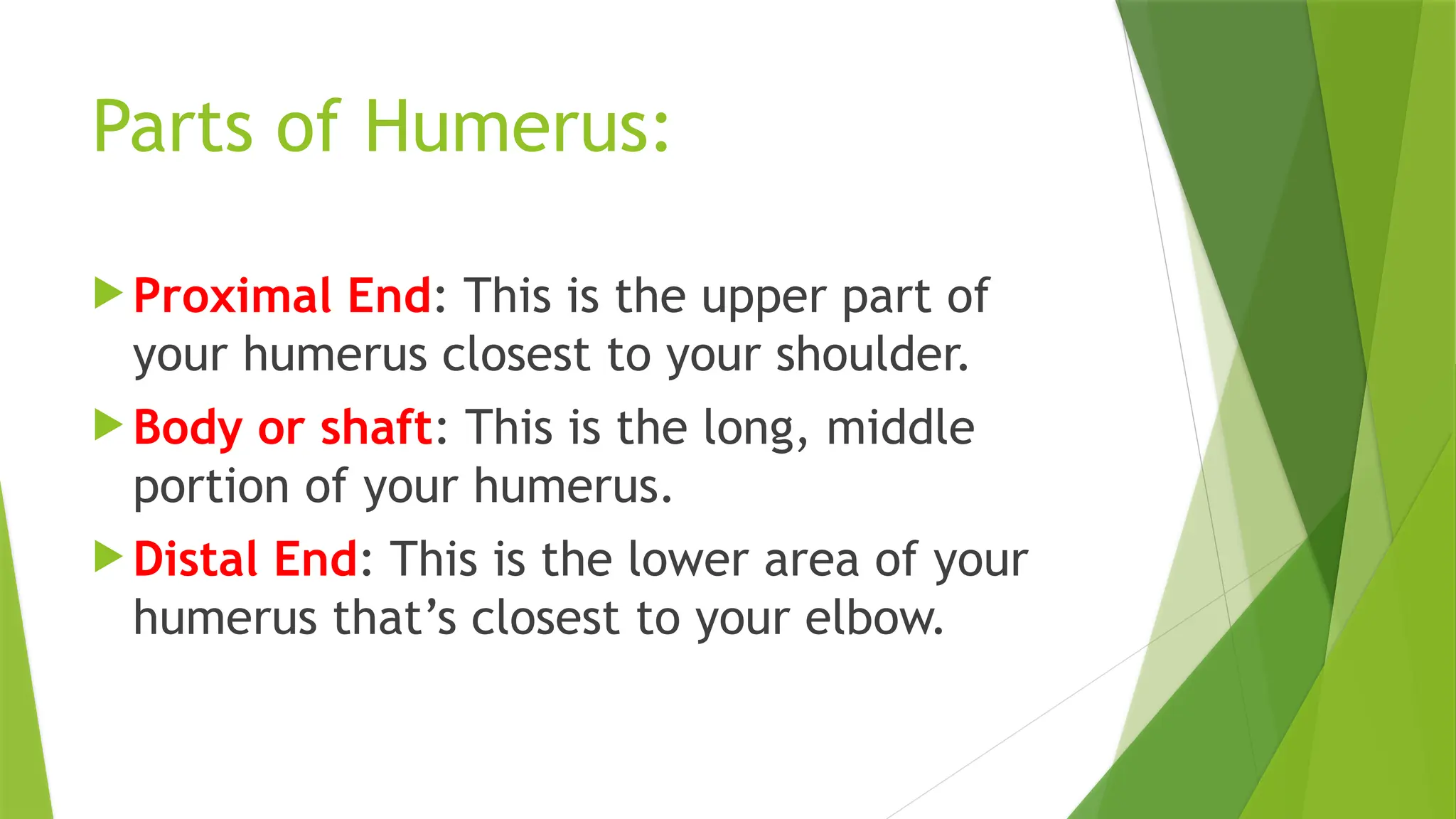 Parts of Humerus:
 Proximal End: This is the upper part of
your humerus closest to your shoulder.
 Body or shaft: This is the long, middle
portion of your humerus.
 Distal End: This is the lower area of your
humerus that’s closest to your elbow.
 