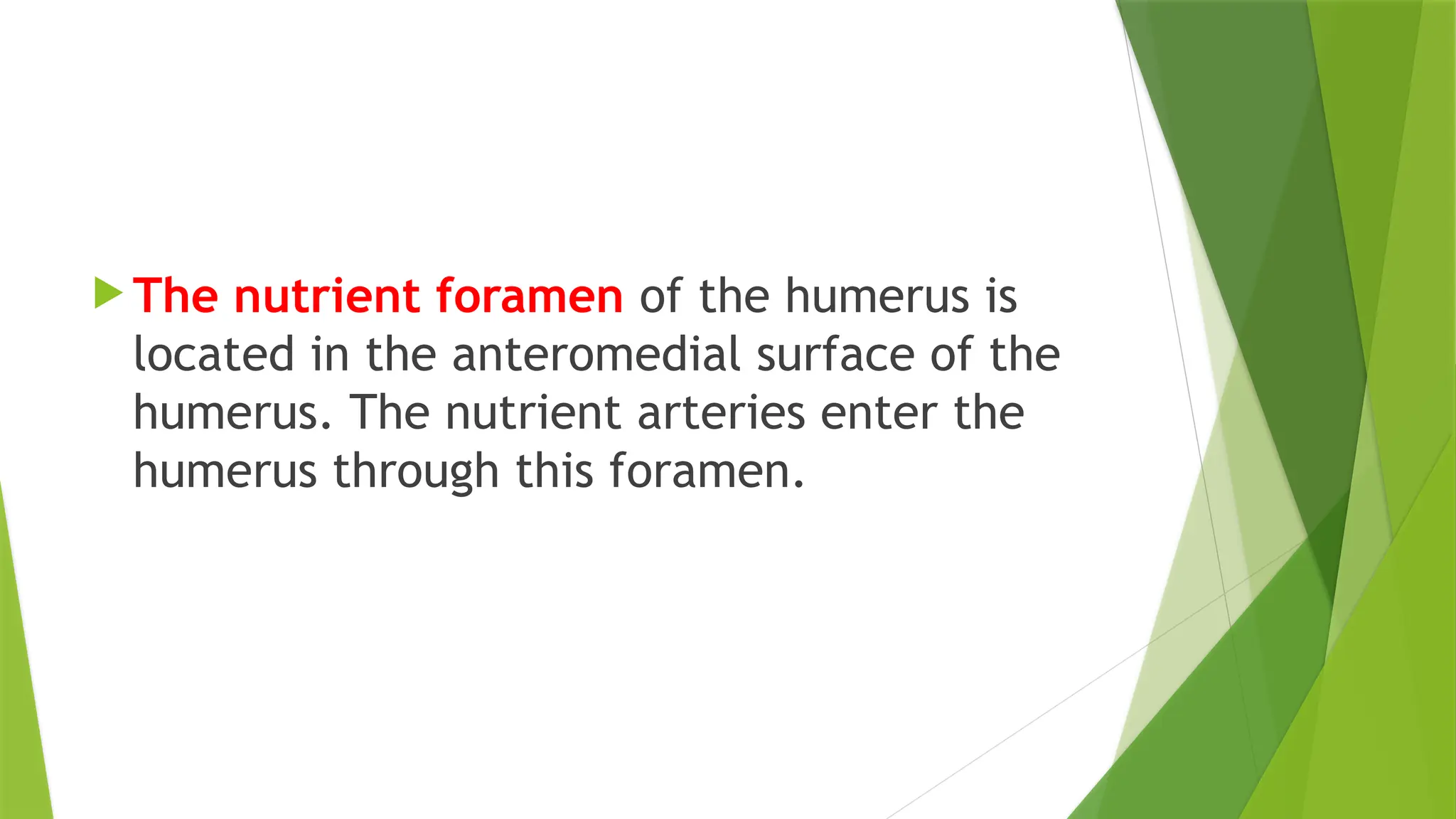 The nutrient foramen of the humerus is
located in the anteromedial surface of the
humerus. The nutrient arteries enter the
humerus through this foramen.
 