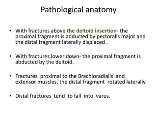 Pathological anatomy
• With fractures above the deltoid insertion- the
proximal fragment is adducted by pectoralis major and
the distal fragment laterally displaced .
• With fractures lower down- the proximal fragment is
abducted by the deltoid.
• Fractures proximal to the Brachioradialis and
extensor muscles, the distal fragment rotated laterally.
• Distal fractures tend to fall into varus.
 