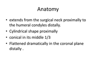 Anatomy
• extends from the surgical neck proximally to
the humeral condyles distally.
• Cylindrical shape proximally
• conical in its middle 1/3
• Flattened dramatically in the coronal plane
distally .
 