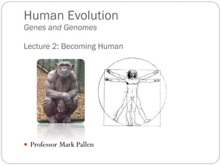 Human Evolution Genes and Genomes Lecture 2: Becoming Human ,[object Object]