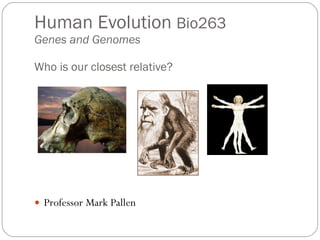 Human Evolution  Bio263  Genes and Genomes Who is our closest relative? ,[object Object]