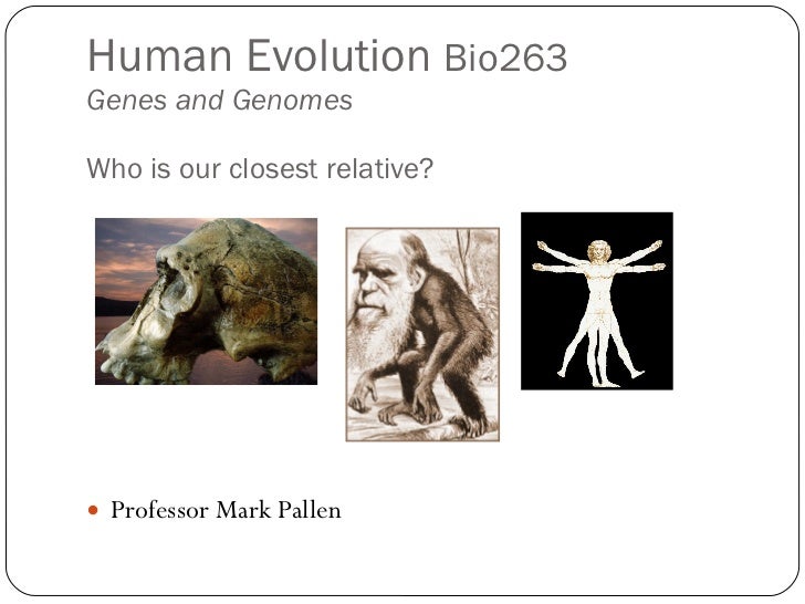 whats humans closest relative