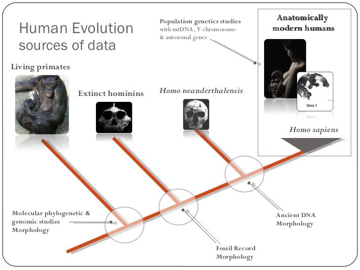 what is our closest dna relative