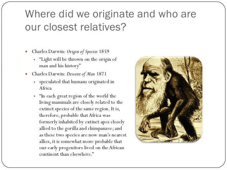 what is a humans closest relative