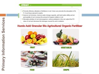 Primary
Information
Services
 