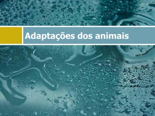 Adaptações dos animais
 