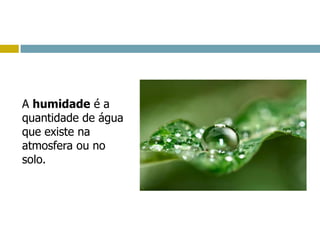 A humidade é a
quantidade de água
que existe na
atmosfera ou no
solo.
 