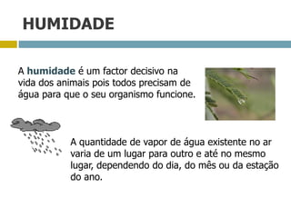 HUMIDADE
A quantidade de vapor de água existente no ar
varia de um lugar para outro e até no mesmo
lugar, dependendo do dia, do mês ou da estação
do ano.
A humidade é um factor decisivo na
vida dos animais pois todos precisam de
água para que o seu organismo funcione.
 