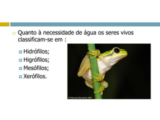  Quanto à necessidade de água os seres vivos
classificam-se em :
 Hidrófilos;
 Higrófilos;
 Mesófilos;
 Xerófilos.
 
