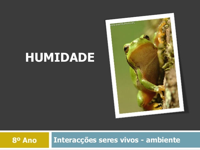 Interacções seres vivos - ambiente8º Ano
HUMIDADE
 