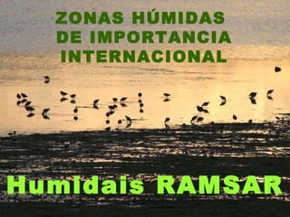 ZONAS HÚMIDAS  DE IMPORTANCIA INTERNACIONAL Humidais RAMSAR 