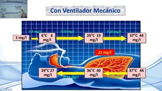 6°C 6
mg/l
37°C 44
mg/l
29°C 19
mg/l
29°C 27
mg/l
36°C 40
mg/l
37°C 44
mg/l
5 mg/l 25 mg/l
13 mg/l
Con Ventilador Mecánico
1 mg/l
4 mg/l
13 mg/l
21 mg/l
 