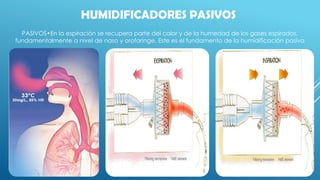 Humidificacion Pasiva Y Activa En Ventilacion Mecanica PPTX Humidificacion Pasiva Y Activa En Ventilacion Mecanica PPTX