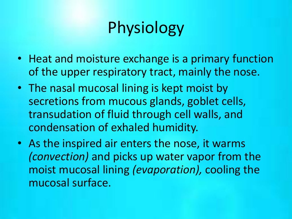 Humidification therapy