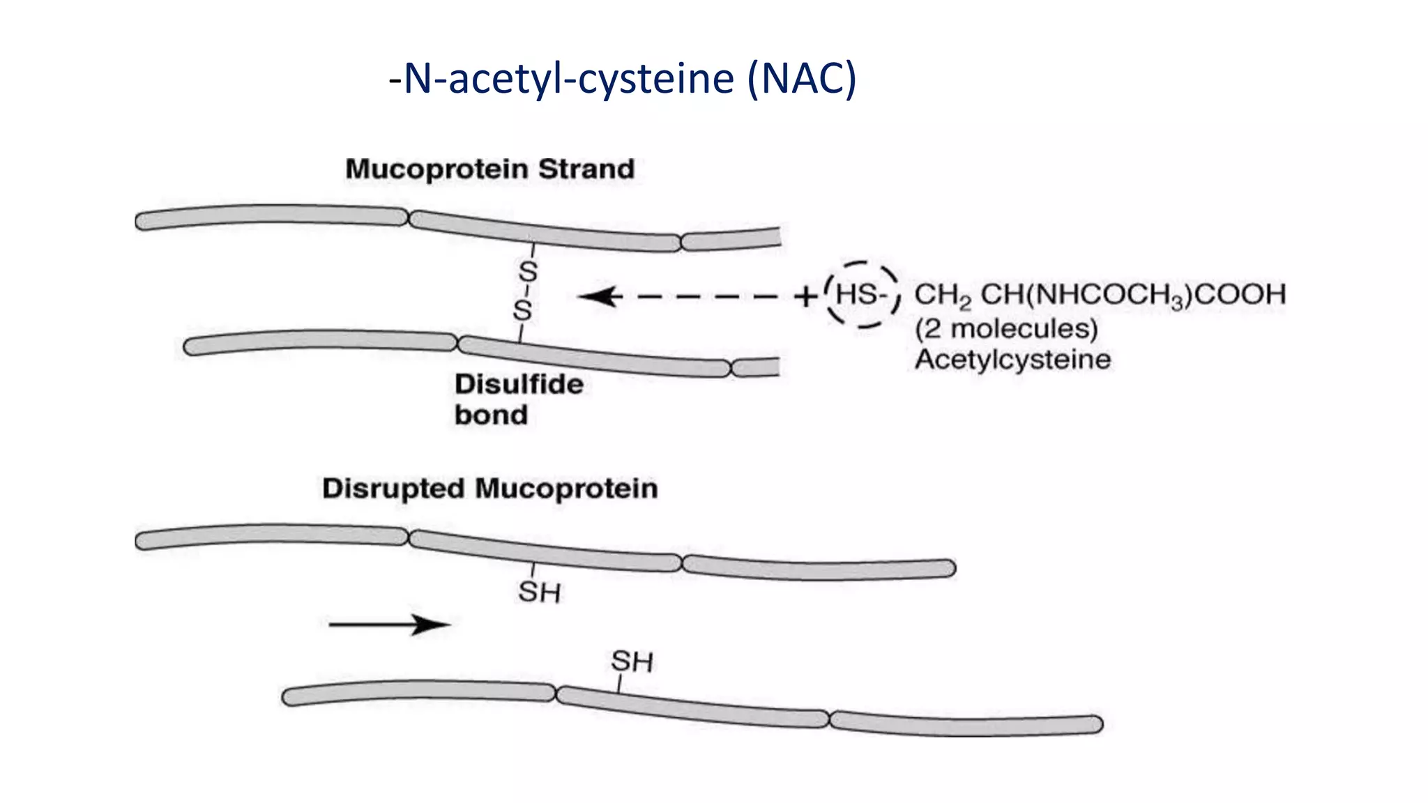 -N-acetyl-cysteine (NAC)
 