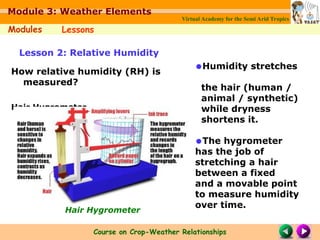 Humidity, relative humidity, its impacts | PPT