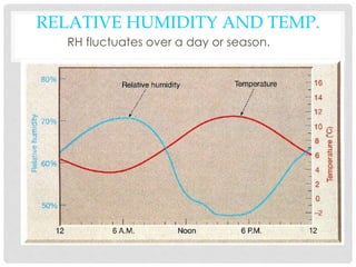 Humidity and Relative Humidity | PDF
