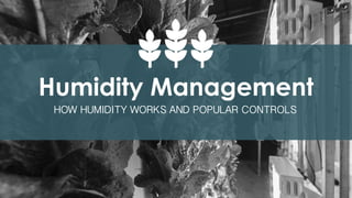 Humidity Management
HOW HUMIDITY WORKS AND POPULAR CONTROLS
 