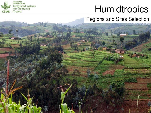 Geoarchaeological Research In The Humid Tropics: A Global Perspective ...