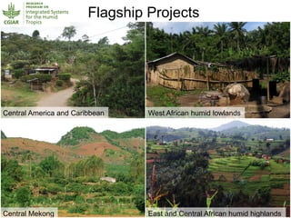 Humidtropics – Presentation for Discussion with Donors and Partners – June 2013