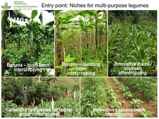 Humidtropics – Presentation for Discussion with Donors and Partners – June 2013