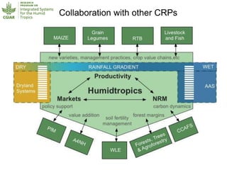 Humidtropics – Presentation for Discussion with Donors and Partners – June 2013