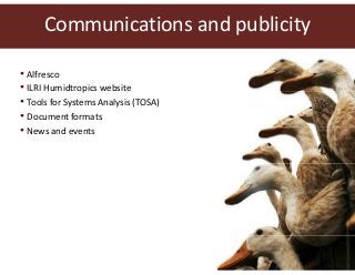 Humidtropics update and ILRI planning meeting