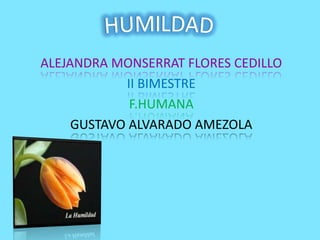 ALEJANDRA MONSERRAT FLORES CEDILLO
            II BIMESTRE
             F.HUMANA
     GUSTAVO ALVARADO AMEZOLA
 