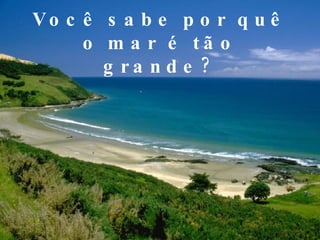 Você sabe por quê o mar é tão grande? 
