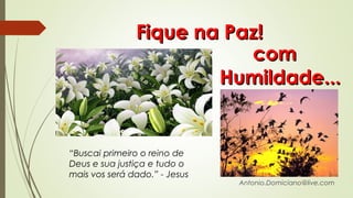comcom
Humildade...Humildade...
Fique na Paz!Fique na Paz!
“Buscai primeiro o reino de
Deus e sua justiça e tudo o
mais vos será dado.” - Jesus
Antonio.Domiciano@live.com
 