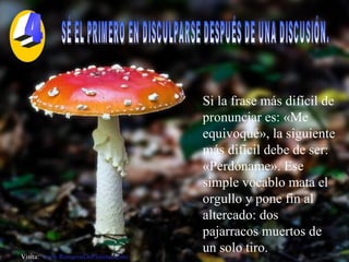 SÉ EL PRIMERO EN DISCULPARSE DESPUÉS DE UNA DISCUSIÓN.  Si la frase más difícil de pronunciar es: «Me equivoqué», la siguiente más difícil debe de ser: «Perdóname». Ese simple vocablo mata el orgullo y pone fin al altercado: dos pajarracos muertos de un solo tiro. Visita:  www.RenuevoDePlenitud.com 4 