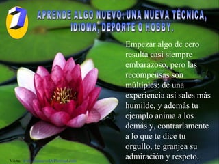 APRENDE ALGO NUEVO: UNA NUEVA TÉCNICA,  IDIOMA, DEPORTE O HOBBY.  Empezar algo de cero resulta casi siempre embarazoso, pero las recompensas son múltiples: de una experiencia así sales más humilde, y además tu ejemplo anima a los demás y, contrariamente a lo que te dice tu orgullo, te granjea su admiración y respeto. Visita:  www.RenuevoDePlenitud.com 7 