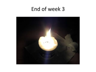 End of week 3
 