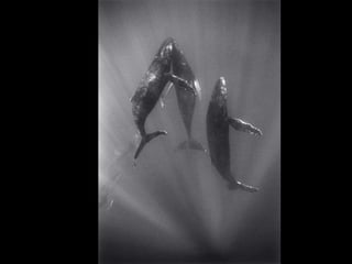 Humility and the Limitations of Success