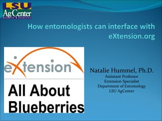 Natalie Hummel, Ph.D. Assistant Professor Extension Specialist Department of Entomology LSU AgCenter 