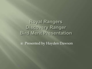 Royal RangersDiscovery Ranger Bird Merit Presentation Presented by Hayden Dawson 
