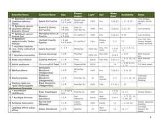 I

Scientific Name

** Epilobium canum
X (Zauschneria californica)
‘Catalina’
** Epilobium canum
X (Zauschneria californica)
‘Everett’s Choice’
X ** Epilobium canum
‘Hurricane Point’
** Epilobium
septentrionalis ‘Select
Mattole’
* Heuchera maxima
X (incl. many cultivars &
hybrids)

Common Name

Size

Flower/
season

Island CA Fuschia

2-3 ft tall
3-5 ft wide

Red/all year
(S/F/W most)

FS/PS

Any

Everett’s Choice
CA Fuschia

1 ft tall
3 ft wide

Dark Orred/ Spr-Su

FS/PS

Hurricane Point CA
Fuschia

1 ft tall
2 ft wide

Or-red/Su-F

Humbolt County
Fuschia

1 ft tall
4-5 ft wide

Or-red/Su-F

Island Alumroot

1- 3 ft

White/Spr

Light**

Water
Zone+

Availability

Notes

1-2 to 2-3

1, 3, 13, 19

Gray foliage;
upright, shrublike

Any

1-2 to 2-3

3, 11, 16

Low-growing

FS/PS

Any

1-2 to 2-3

8, 19

Low-growing

FS/PS

Prefers
rocky

19

Low mat-like;
silvery foliage;
winter dormant

PS/PS/ FSH

Soil

Any, incl.
clays

2-3

1-2 to
2-3

1, 3, 7, 8, 13,
14

X * Heuchera micrantha

Crevice Alumroot

1-3 ft

Pink/Spr

X Ribes viburnifolium

Catalina Perfume

1-3 ft

Pink/

PS/FSH

X Salvia spathacea

Hummingbird Sage

1-3 ft

Magenta/Spr

PS/FSH

1-3 ft

White/SprSu

FS/PS

1-4 ft

Pink/Spr-Su

PS

1-2 ft

Pink/Spr-Su

FS/PS

Clay

2-3 to 3

2-3 ft tall &
wide

Pink/Sp-Su

FS/PS

Any

1-2 to
2-3

10, 13

1-2 ft

Redyellow/Su

PS/FSH

Welldrained

2 to 3

1, 3, 5, 13, 14,
16, 19, 20

2-3 ft

Creampink/Su

FS/PS

Sandy

1-2

1, 3, 10, 14

1-2 ft

Red/Spr

FS

Welldrained

1-2

10, 13

X Stachys albens
X Stachys bullata
Stachys rigida var.
rigida (Stachys ajugoides)
Herbaceous Perennials
* Antirrhinum
X
multiflorum
X

X * Aquilegia formosa
X Asclepias fascicularis
Castilleja affinis subsp.
affinis

Whitestem
Woodmint
(Hedgenettle)
California
Woodmint
(Hedgenettle)
Rigid Woodmint
(Hedgenettle)
Rose Snapdragon
Western
Columbine
Narrow-leaf
Milkweed
Indian Paintbrush

PS/PS/ FSH

See note
See note

2-3 to 3
2 to 2-3

1-2
Any
Welldrained

1-2 to 2-3

2-3

1, 3, 8
1, 3, 9, 13, 14,
20
1, 3, 8, 9, 12,
13, 19

Well-drained
soil
Well-drained
soil
Cut back yearly

1, 3, 6, 12

1, 3, 7, 12, 14

Tolerates
seasonal
flooding

1, 13

Showy flowers

Needs seasonal
flooding
Summer
drought for
seeds

8

 