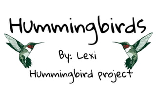 Hummingbirds
By: Lexi
Hummingbird project
 
