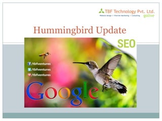 Hummingbird Update

 