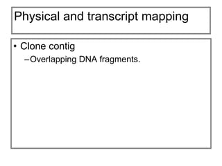 Genetic mapping.ppt