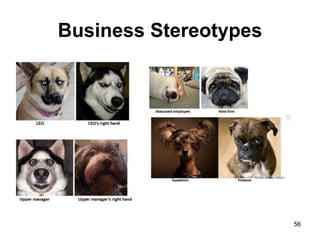 Business Stereotypes
56
 