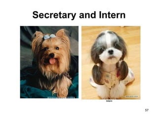 Secretary and Intern
57
 