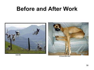 Before and After Work
58
 