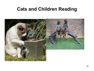 Cats and Children Reading
10
 