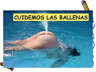 CUIDEMOS LAS BALLENAS 
